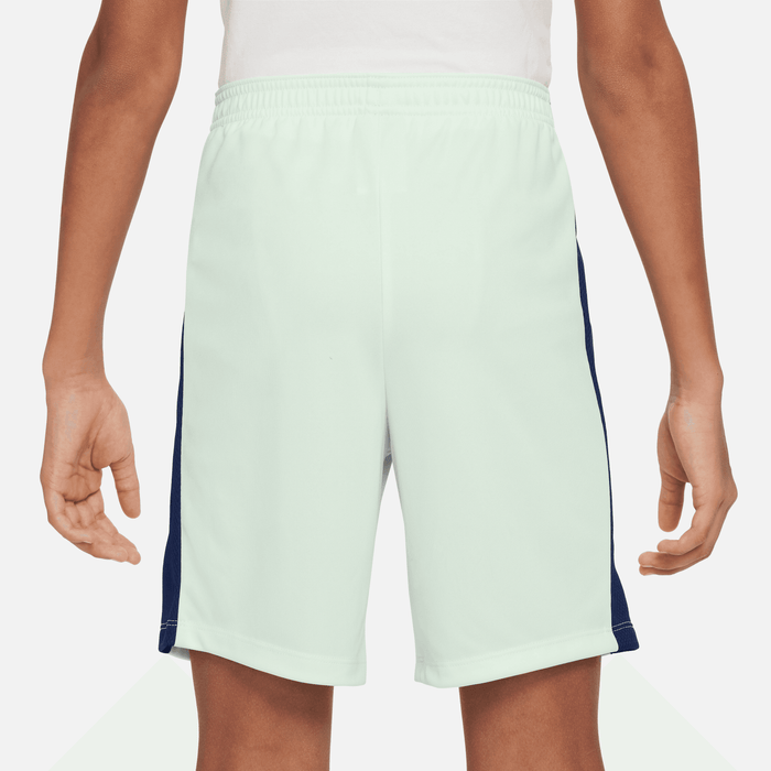 Nike CR7 Youth Dri-FIT Academy23 Football Shorts (Barely Green/Blue Void/Metallic Gold)