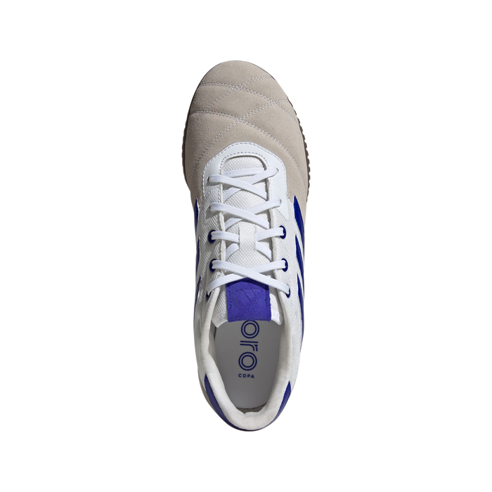 Adidas Copa Gloro IN Indoor Football Shoes (White/Lucid Blue/Gum)