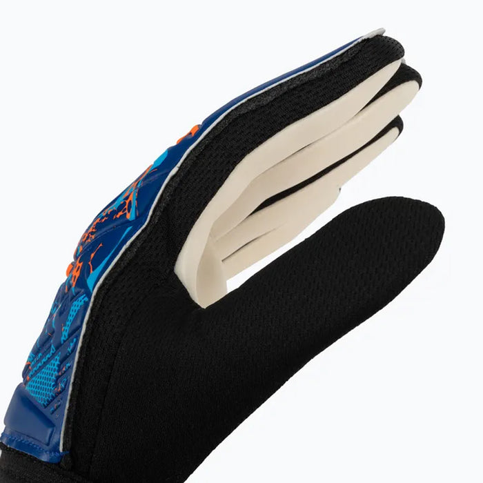 Reusch Attrakt Starter Solid GK Glove (Blue/Orange)