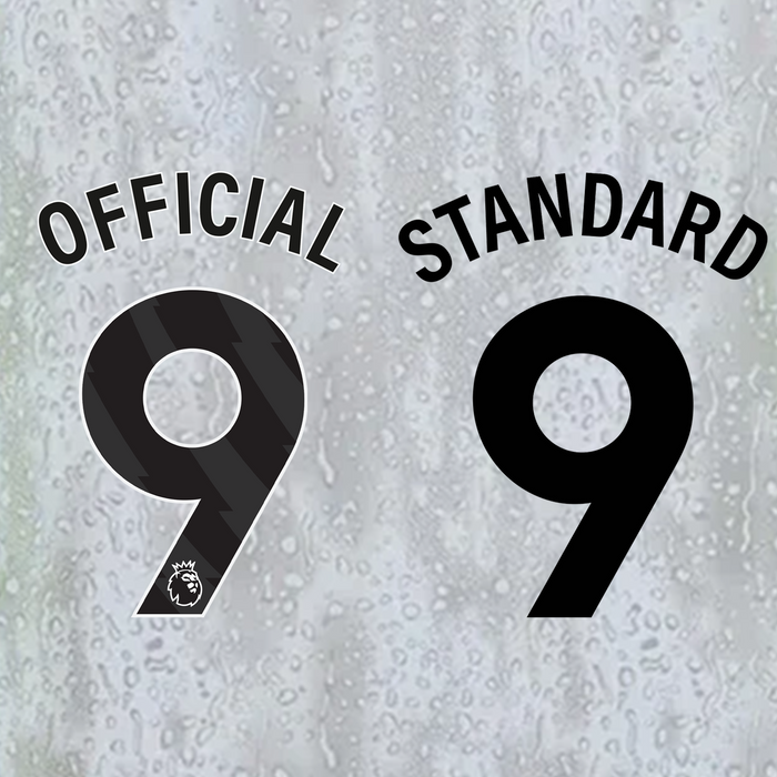 Manchester City Adult Third Jersey 25/26