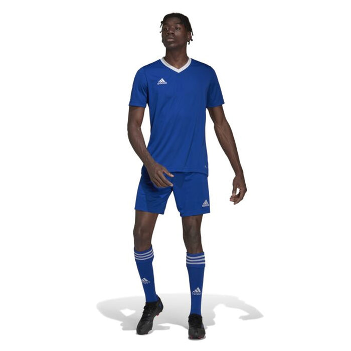 Adidas Adult Entrada 22 Jersey (Royal/White)